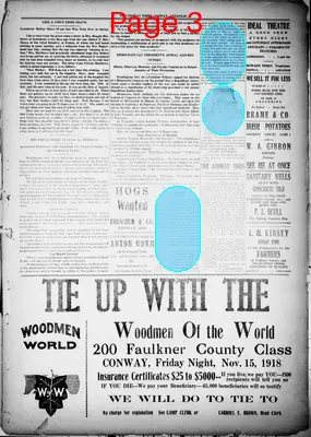 Page thumbnail for Conway Weekly Times