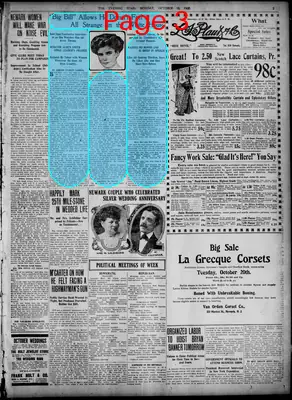 Page thumbnail for The Star And Newark Advertiser