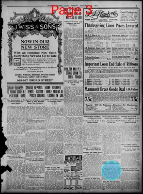 Page thumbnail for Newark Evening Star And Newark Advertiser