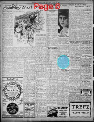 Page thumbnail for Newark Evening Star And Newark Advertiser