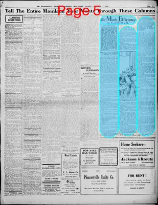 Page thumbnail for The Pleasantville Press