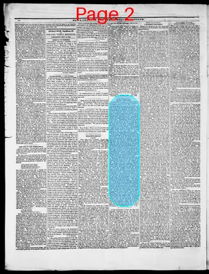 Page thumbnail for Olive Leaf And New York Weekly Messenger