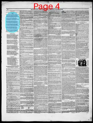 Page thumbnail for Olive Leaf And New York Weekly Messenger