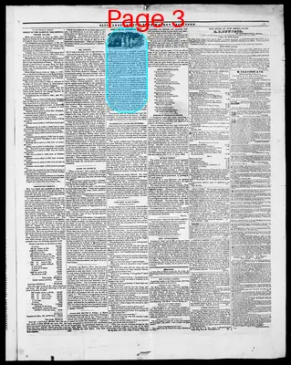 Page thumbnail for Olive Leaf And New York Weekly Messenger