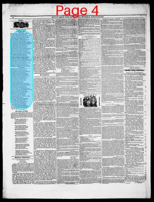 Page thumbnail for Olive Leaf And New York Weekly Messenger