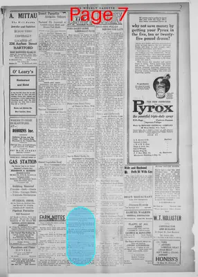 Page thumbnail for The Weekly Gazette