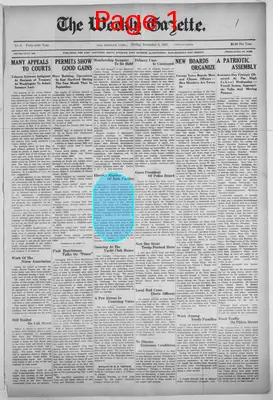 Page thumbnail for The Weekly Gazette