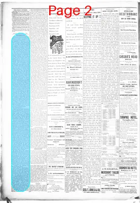 Page thumbnail for The Daily Citizen