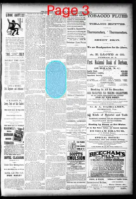 Page thumbnail for The Durham Daily Globe