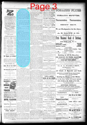 Page thumbnail for The Durham Daily Globe