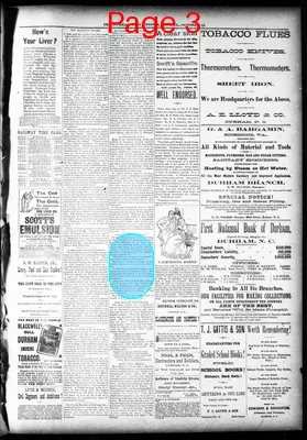 Page thumbnail for The Durham Daily Globe