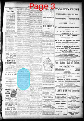 Page thumbnail for The Durham Daily Globe