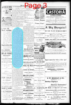 Page thumbnail for The Durham Daily Globe