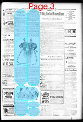 Page thumbnail for The Durham Daily Globe