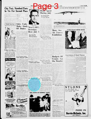 Page thumbnail for Henderson Daily Dispatch