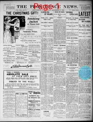 Page thumbnail for The Providence News