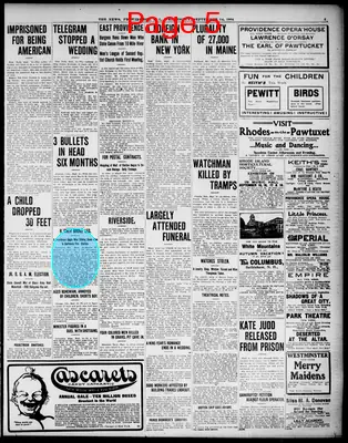Page thumbnail for The Providence News