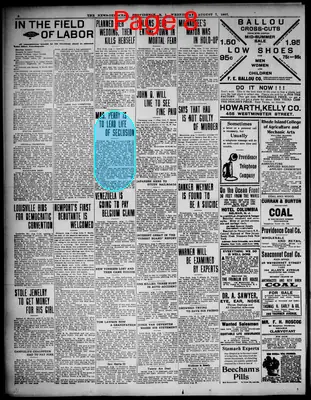 Page thumbnail for The News Democrat