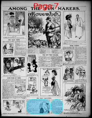Page thumbnail for The News Democrat