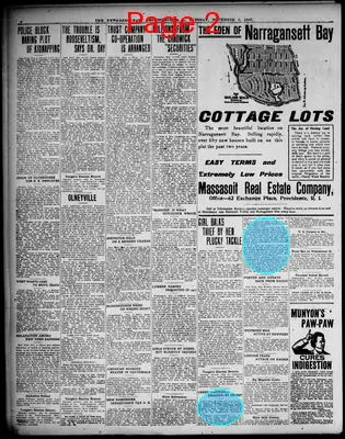 Page thumbnail for The News Democrat