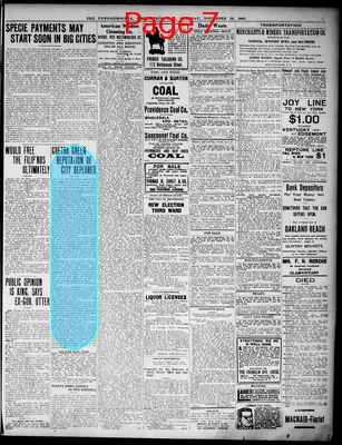 Page thumbnail for The News Democrat