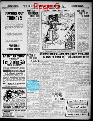 Page thumbnail for The News Democrat