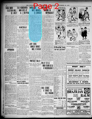 Page thumbnail for The News Democrat