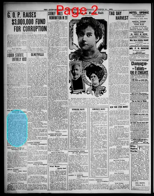 Page thumbnail for The News Democrat