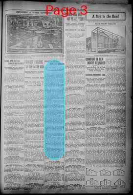 Page thumbnail for The Pulaskian
