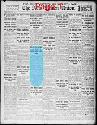 Page thumbnail for The New Haven Union