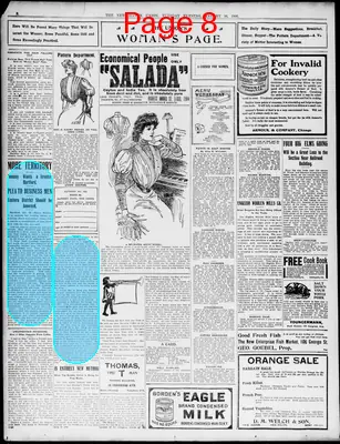 Page thumbnail for The New Haven Union