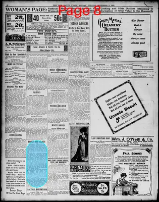 Page thumbnail for The New Haven Union