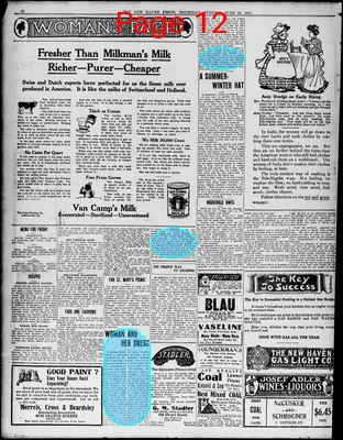 Page thumbnail for The New Haven Union