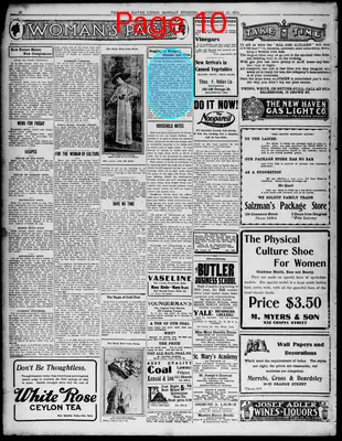 Page thumbnail for The New Haven Union