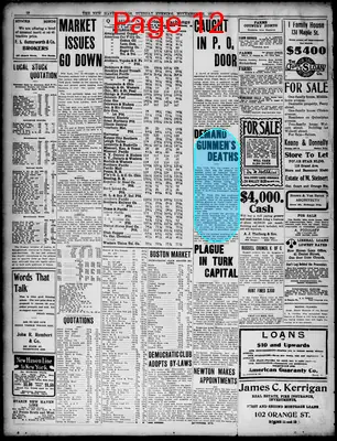 Page thumbnail for The New Haven Union
