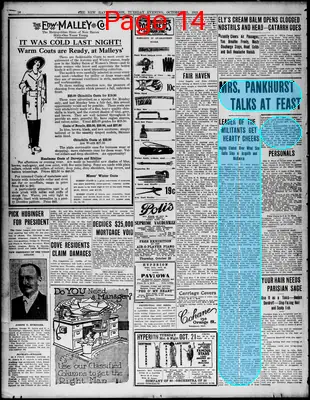 Page thumbnail for The New Haven Union