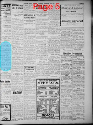 Page thumbnail for Windham County Observer