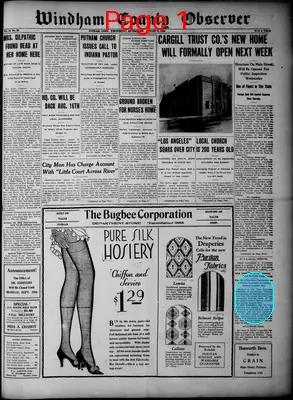 Page thumbnail for Windham County Observer