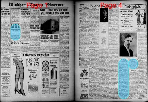 Page thumbnail for Windham County Observer