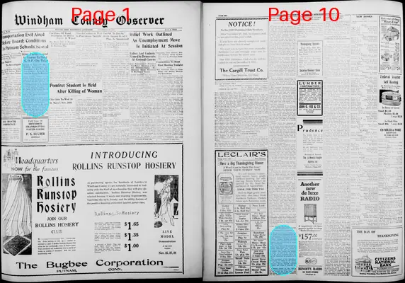 Page thumbnail for Windham County Observer