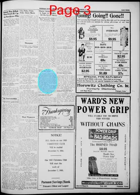 Page thumbnail for Windham County Observer
