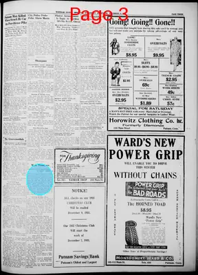 Page thumbnail for Windham County Observer