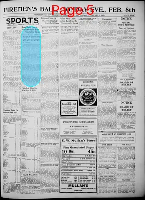 Page thumbnail for Windham County Observer