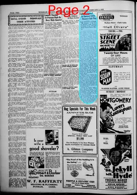 Page thumbnail for Windham County Observer