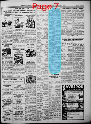 Page thumbnail for Windham County Observer