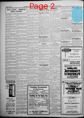Page thumbnail for Windham County Observer