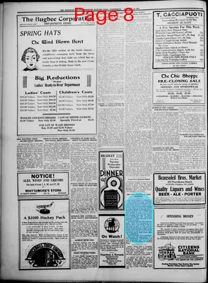 Page thumbnail for Windham County Observer