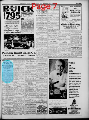 Page thumbnail for Windham County Observer