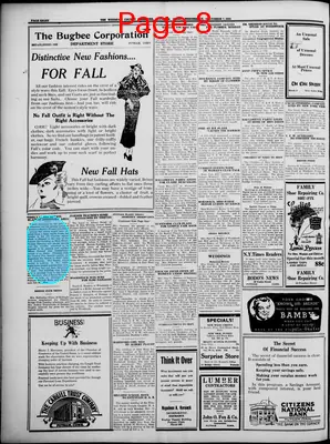 Page thumbnail for Windham County Observer