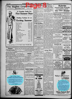 Page thumbnail for Windham County Observer